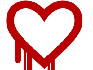 Heartbleed Bug